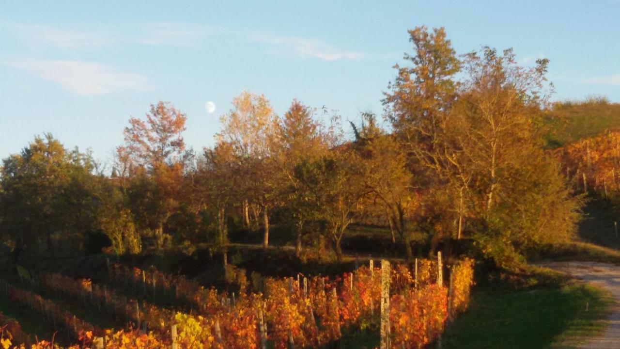 Cascina Torello Dogliani Exterior photo