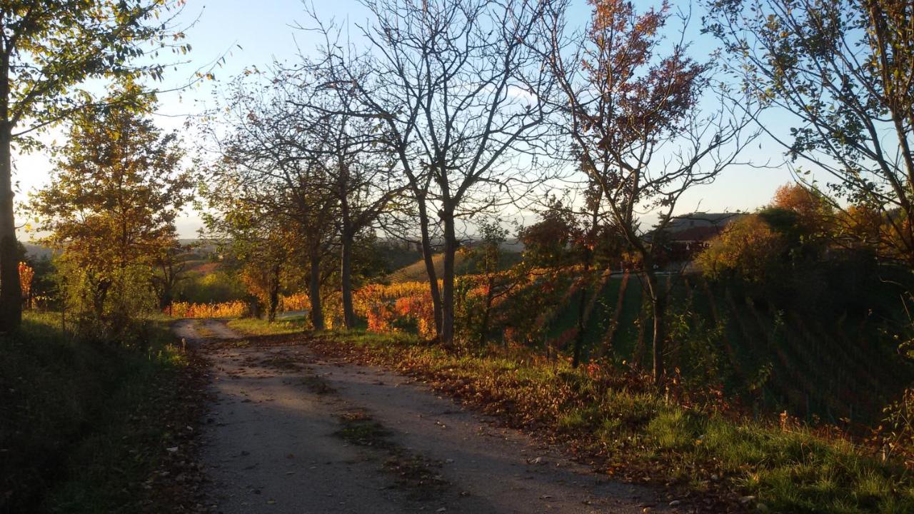 Cascina Torello Dogliani Exterior photo