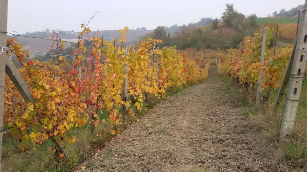 Cascina Torello Dogliani Exterior photo