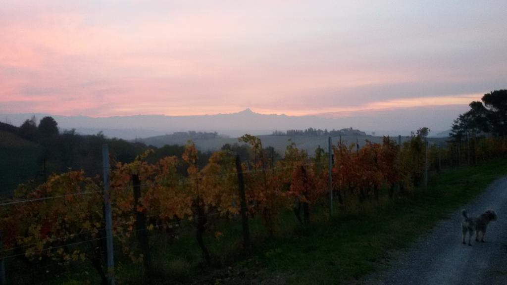 Cascina Torello Dogliani Exterior photo