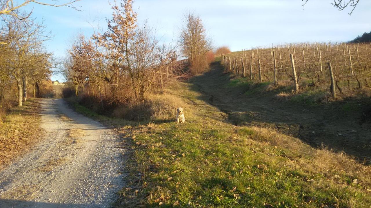 Cascina Torello Dogliani Exterior photo